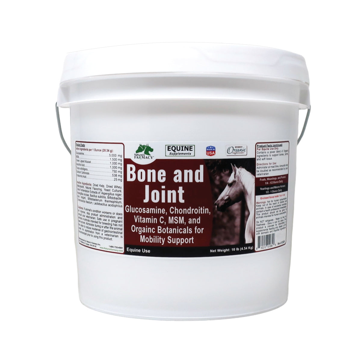 Equine Bone & Joint
