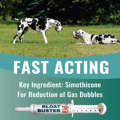 Dogzymes Bloat Buster Paste