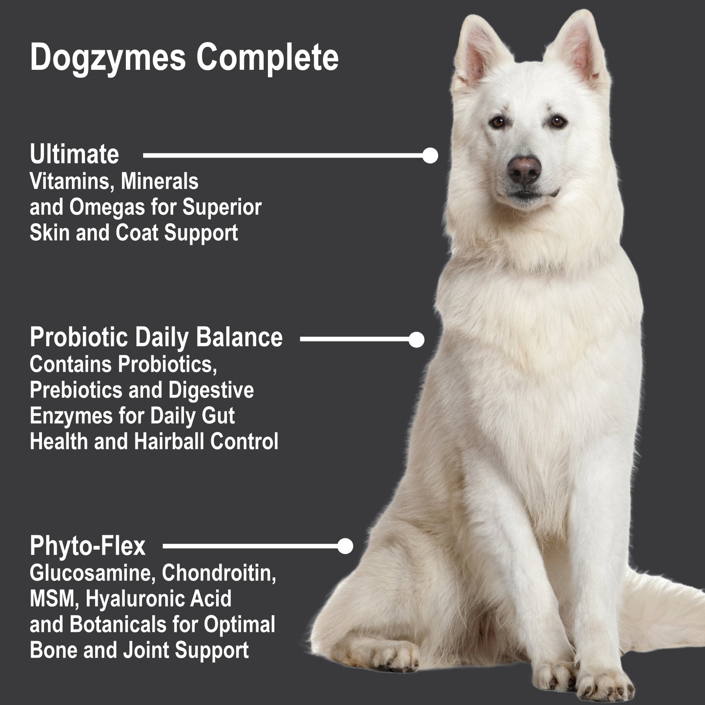 Complete-info