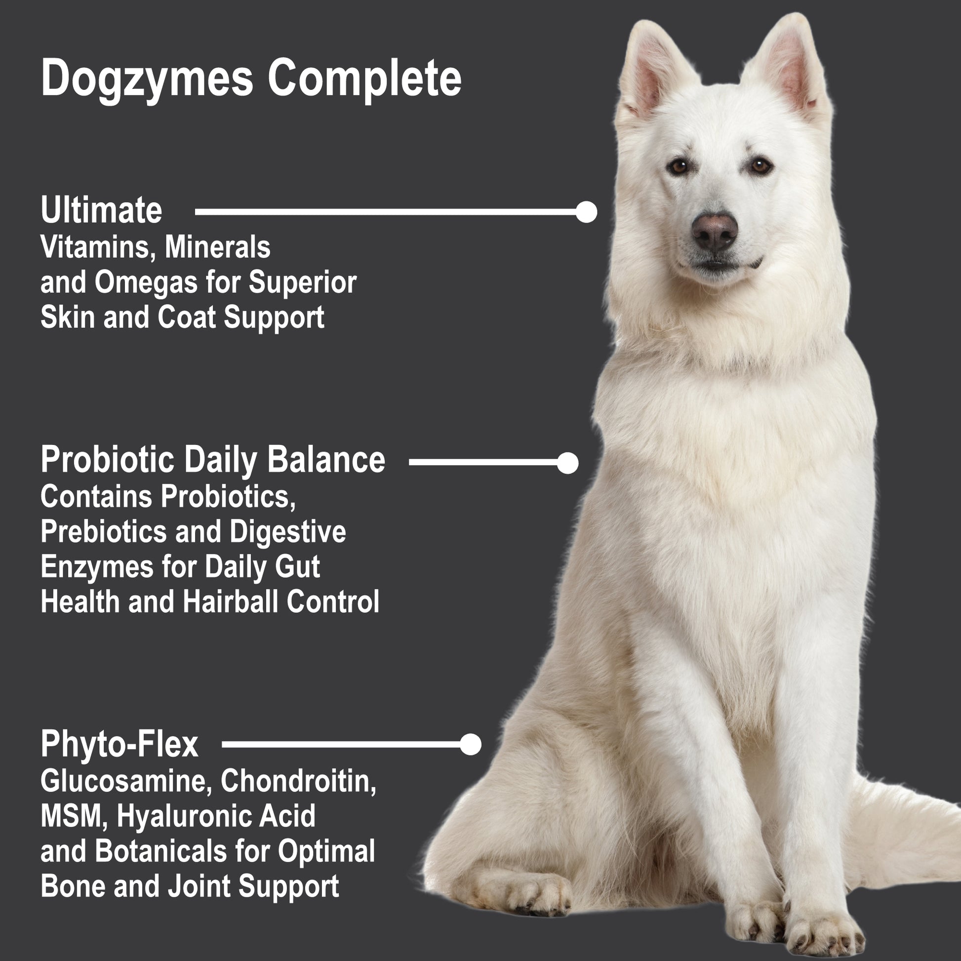 Complete-info