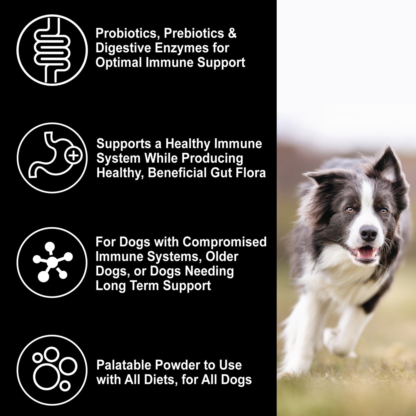 Dogzymes Immuno-Guard info