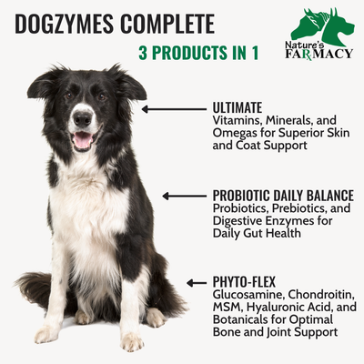 Dogzymes Complete