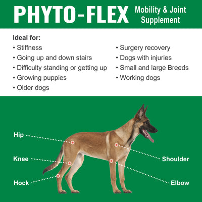 Dogzymes Phyto-Flex info