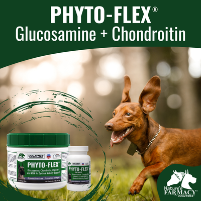 Dogzymes Phyto-Flex®