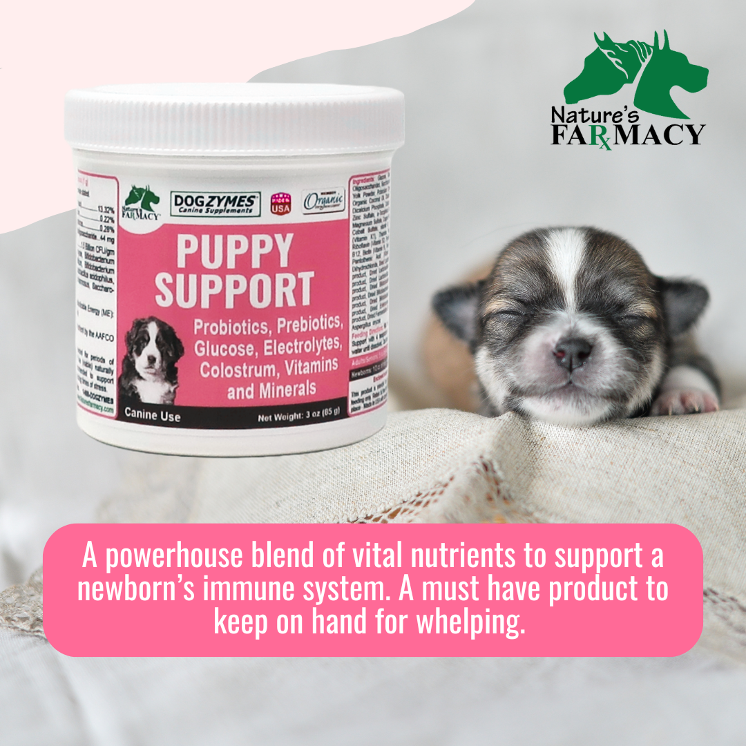 Puppy Support for Fading Puppies