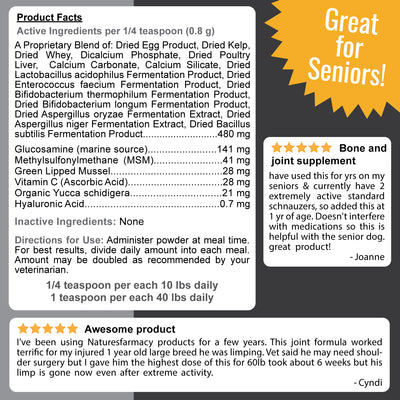 Dogzymes Bone and Joint facts