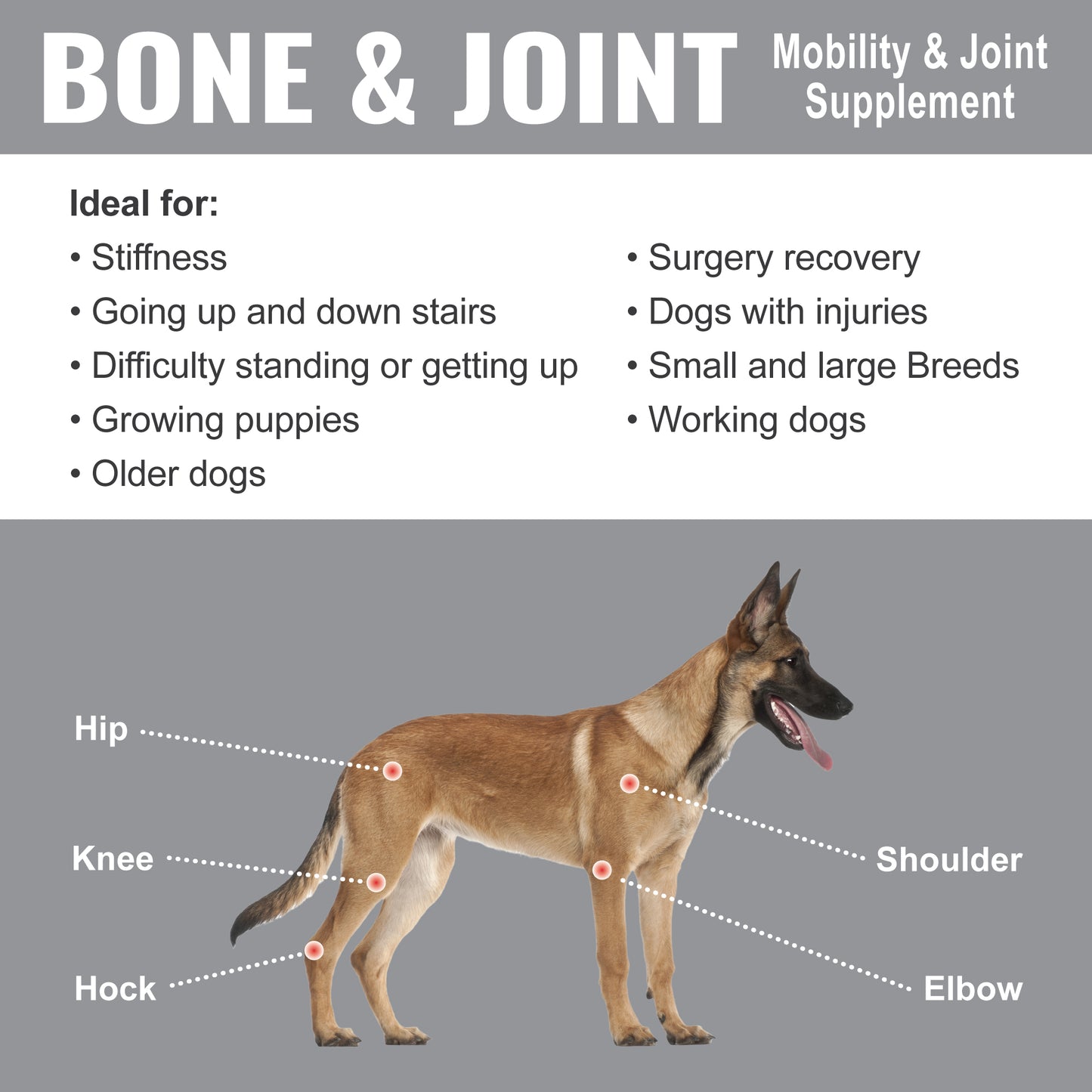 Dogzymes Bone and Joint info
