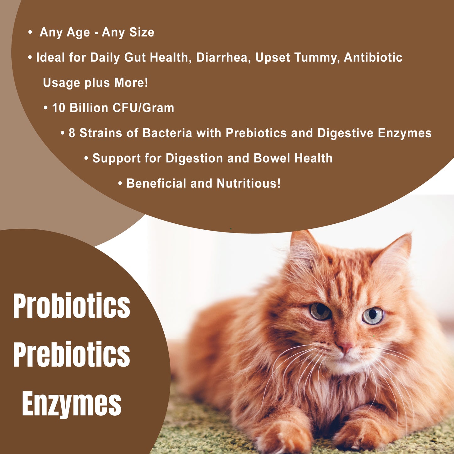 Catzymes Probiotic Max info