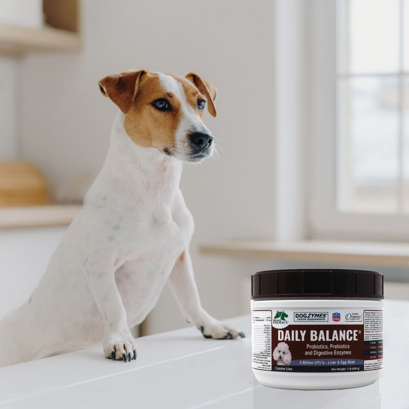Dogzymes Probiotic Daily Balance® Liver and Egg Base