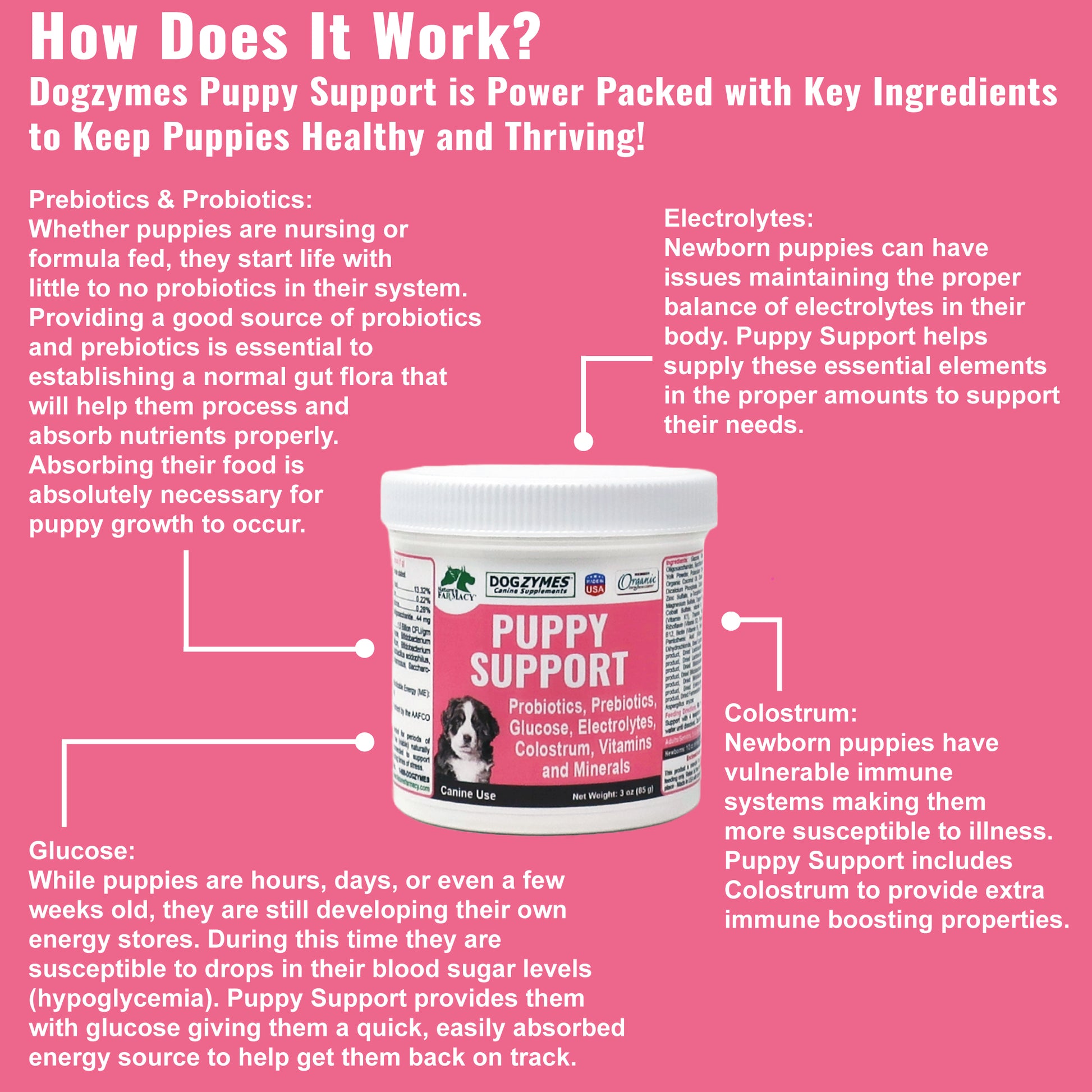 Puppy Support for Fading Puppies info