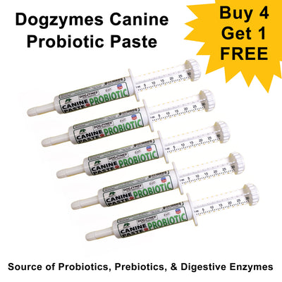 Dogzymes Canine Probiotic Paste Show Pack 5 Tubes (Buy 4/Get 1 Free)