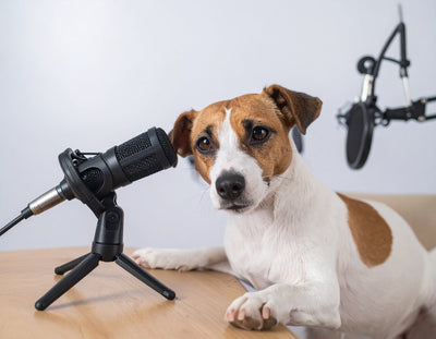 Podcast: What are probiotics and why they are important for pets
