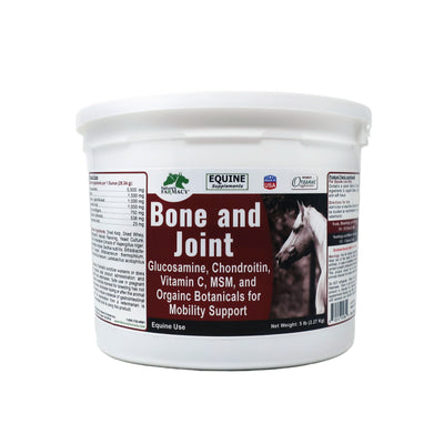 Equine Bone & Joint