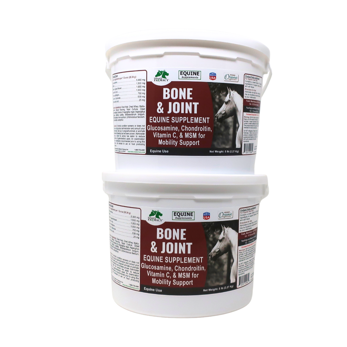 Equine Bone & Joint