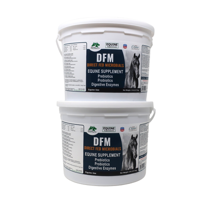 Equine DFM (Direct Fed Microbial)