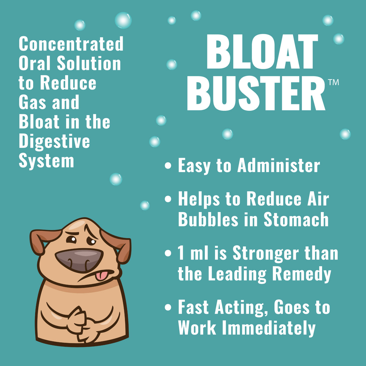 Dogzymes Bloat Buster Concentrate Liquid