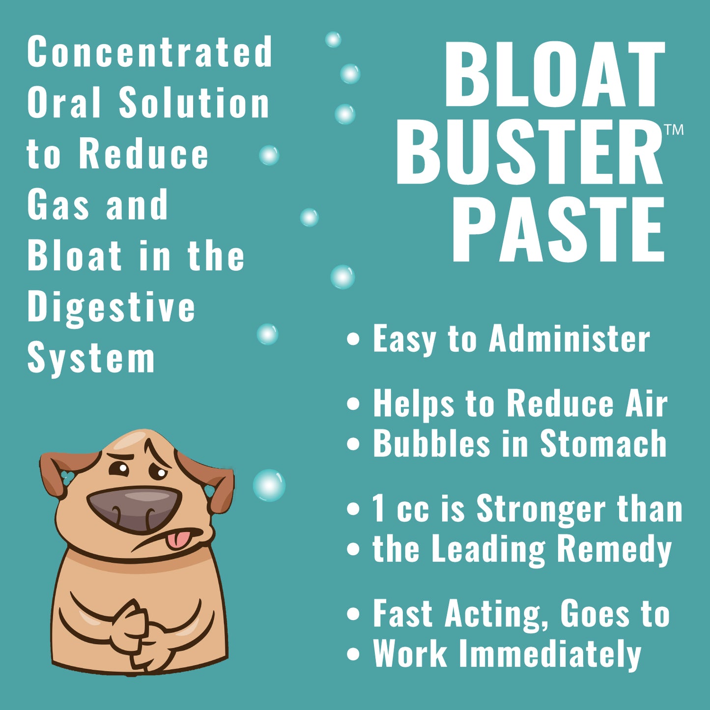 Dogzymes Bloat Buster Paste