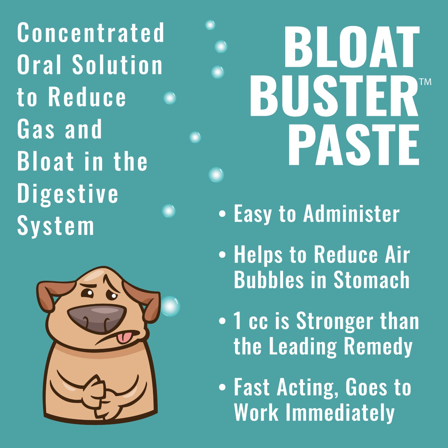 Dogzymes Bloat Buster Paste
