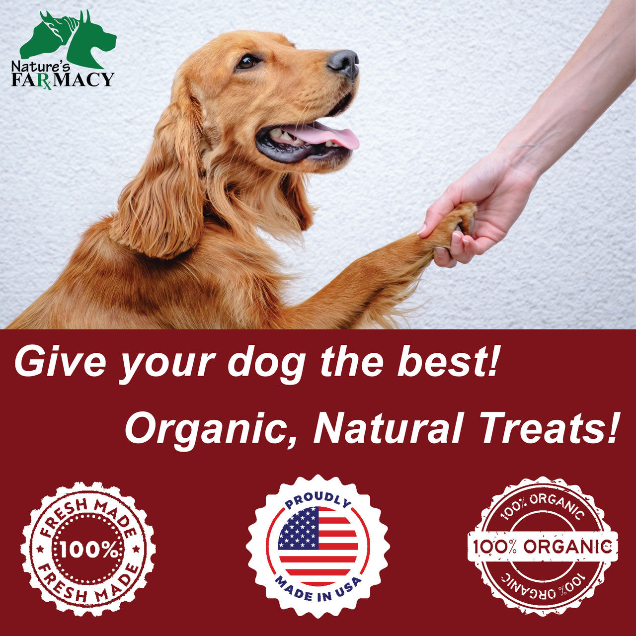 Dogzymes Meat Treats Value Bag