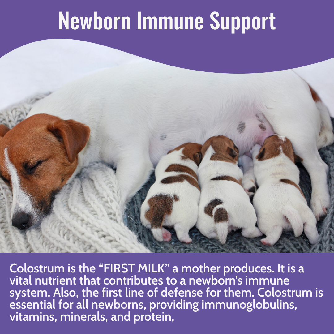 Dogzymes Colostrum