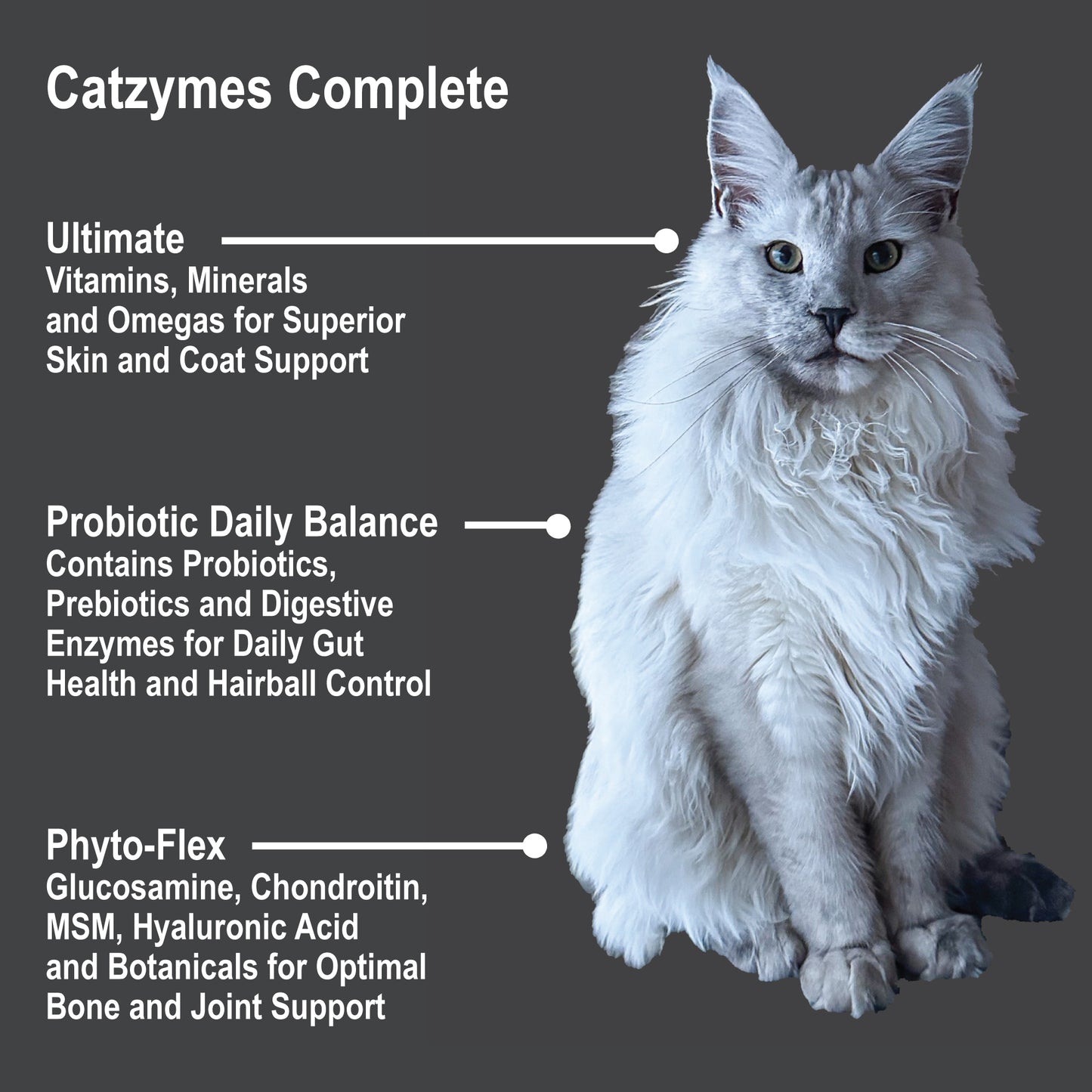 Catzymes Complete