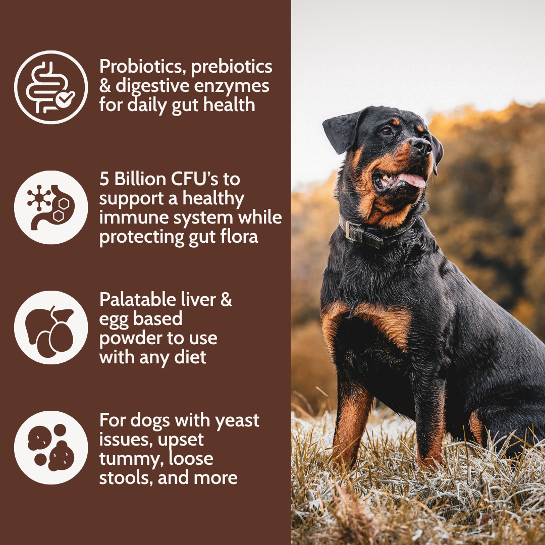 Dogzymes Probiotic Daily Balance® Liver and Egg Base