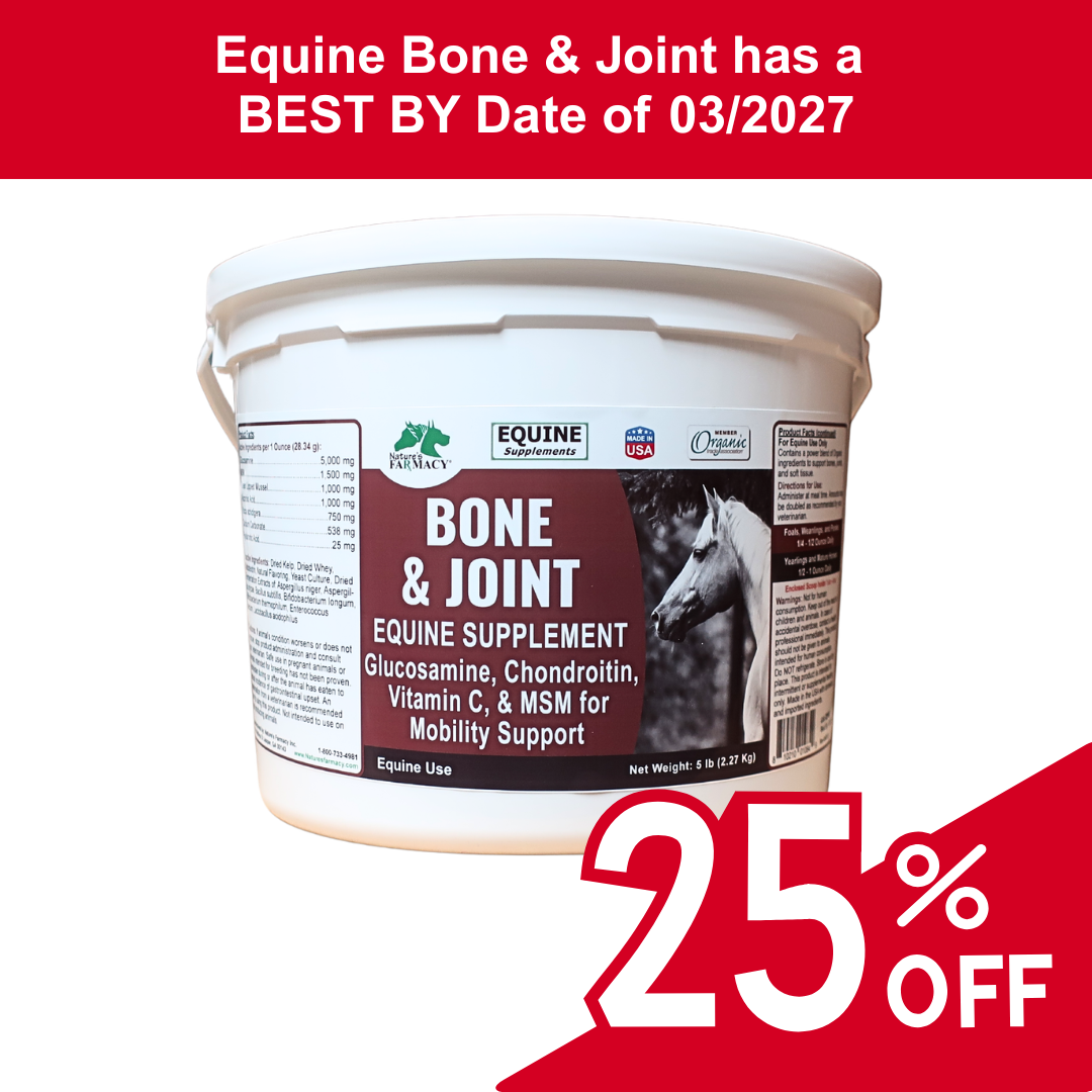 Equine Bone & Joint