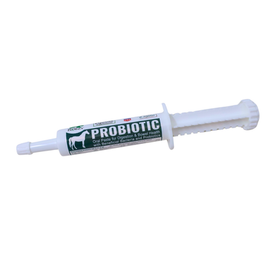 Equine Probiotic Paste