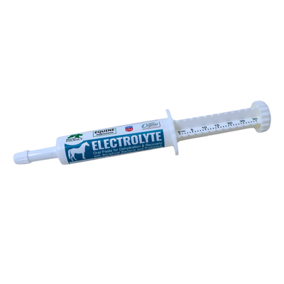 Equine Electrolyte Paste