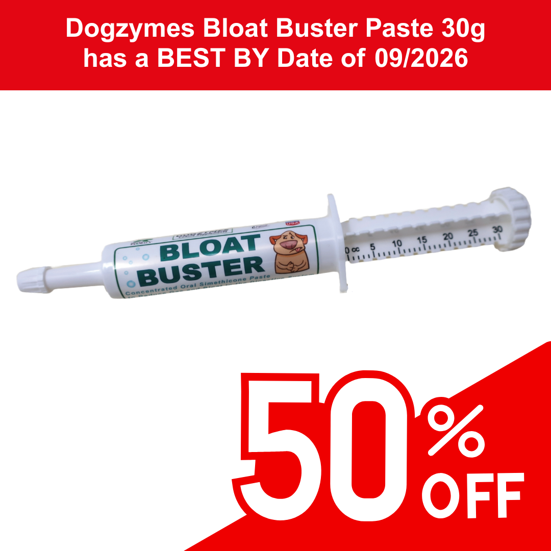 Dogzymes Bloat Buster Paste