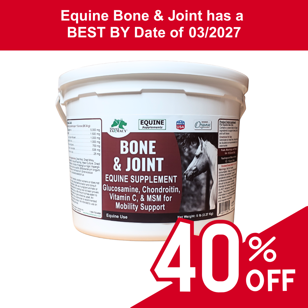 Equine Bone & Joint