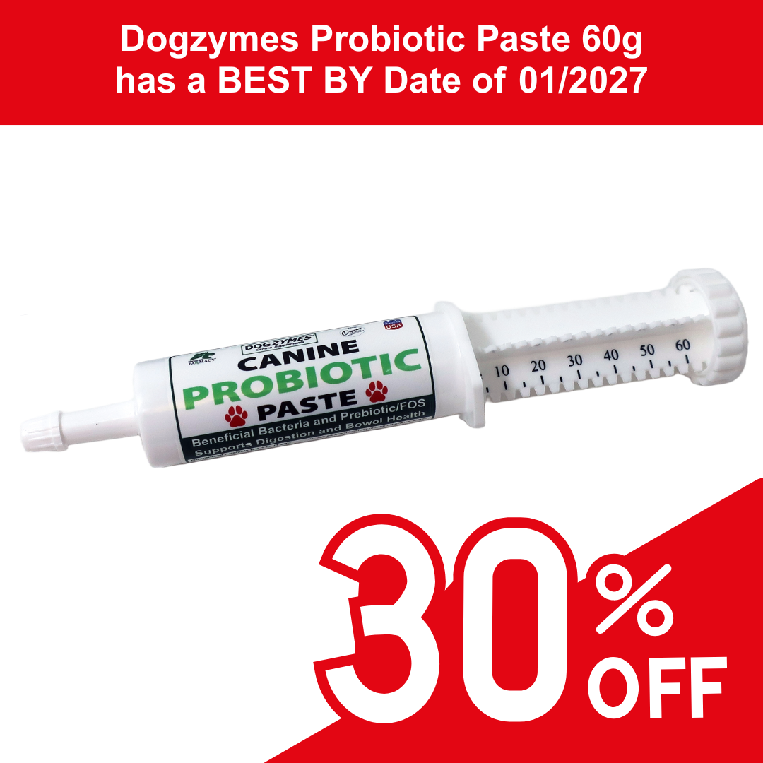 Dogzymes Canine Probiotic Paste