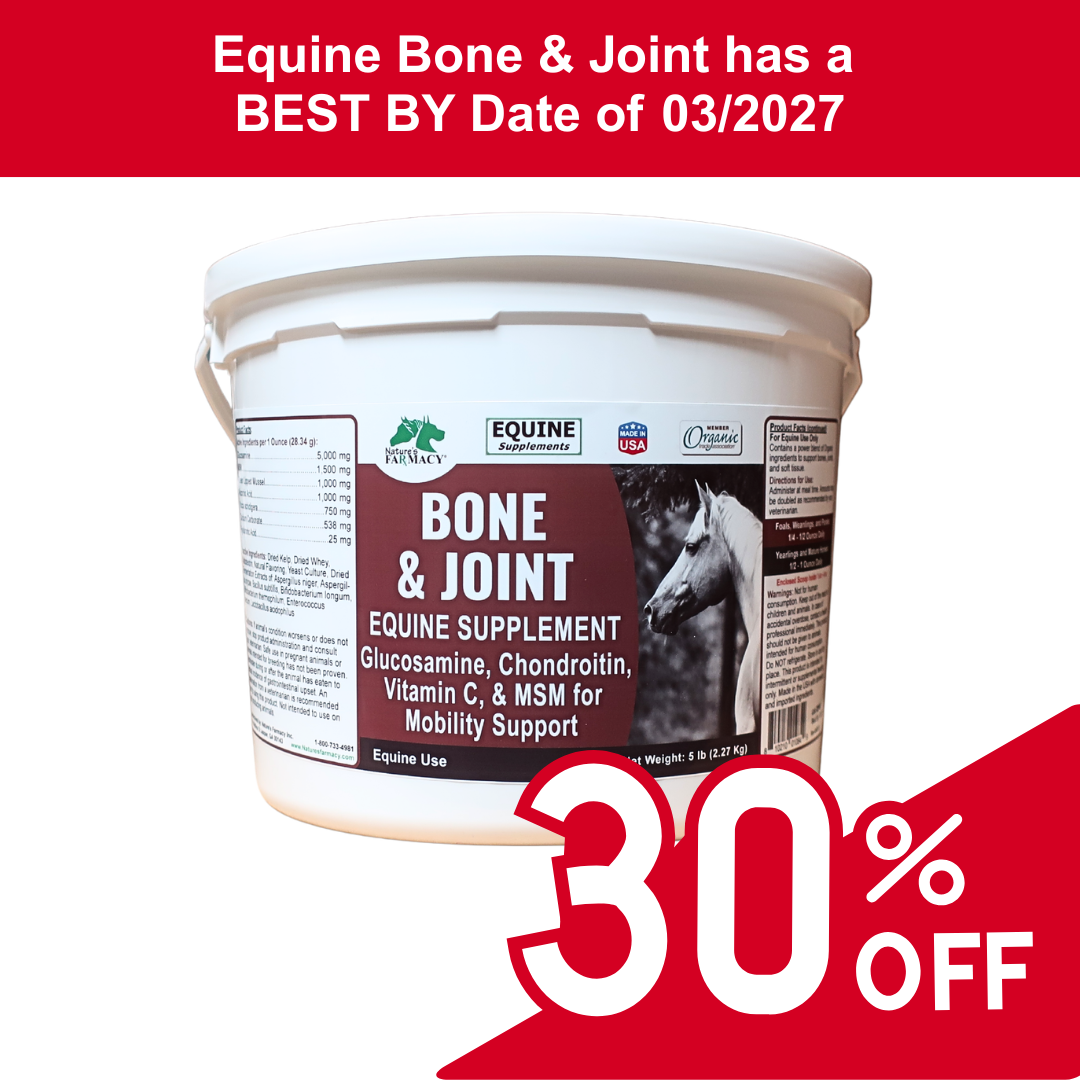 Equine Bone & Joint