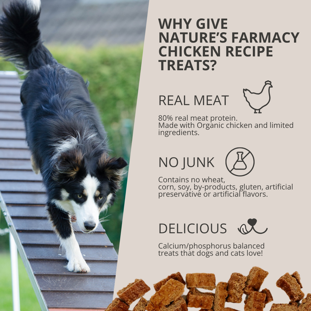 Dogzymes Chicken Recipe Treats