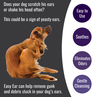 Nature's Farmacy Easy Ear  Cleaner