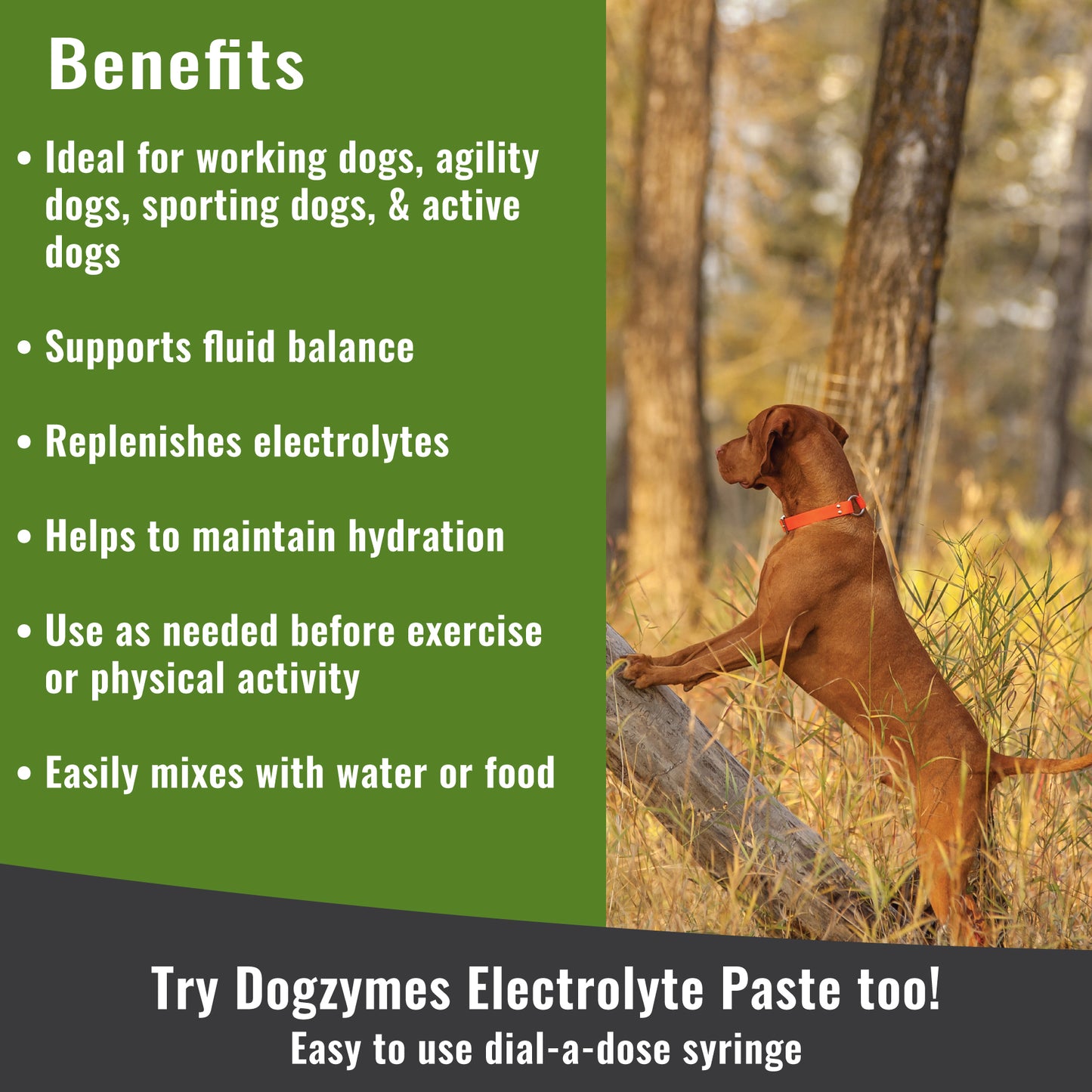 Dogzymes Electrolyte Powder