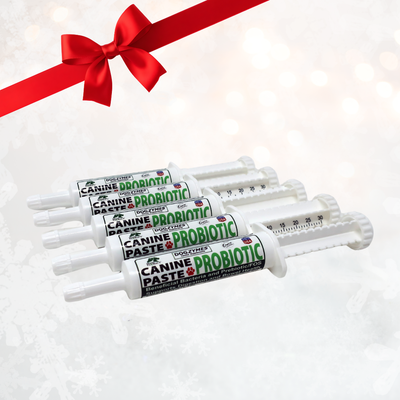 Dogzymes Canine Probiotic Paste Show Pack  5 Tubes (Buy 4/Get 1 Free)