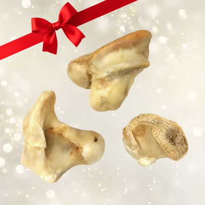 Knuckle Bone - Chew and Dental Tool