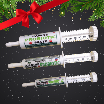 Dogzymes Canine Probiotic Paste