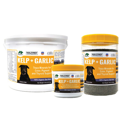 Dogzymes Organic Norwegian Kelp with Organic Garlic