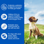 Dogzymes Probiotic Daily Balance® Whey Base