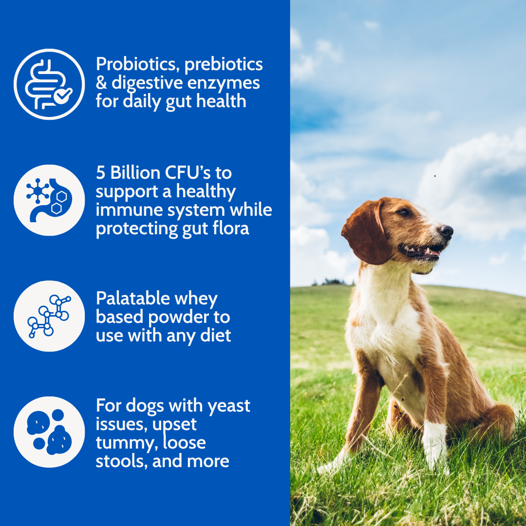 Dogzymes Probiotic Daily Balance® Whey Base