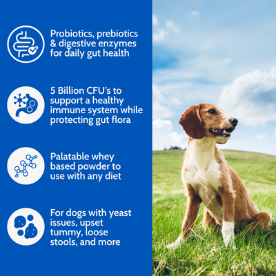 Dogzymes Probiotic Daily Balance® Whey Base