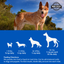Dogzymes Probiotic Daily Balance® Whey Base
