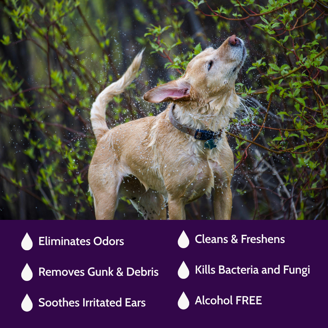 Nature's Farmacy Easy Ear  Cleaner