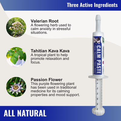 Dogzymes Calm Paste