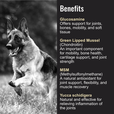Dogzymes Bone and Joint