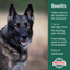 Dogzymes Bloat Buster Paste
