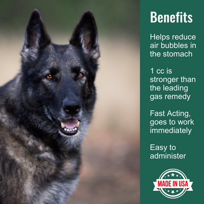 Dogzymes Bloat Buster Paste