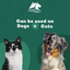 Dogzymes Canine Dental Formula